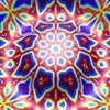 Telegram channel 🔴 Paradise music 🎶 logo