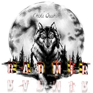 Telegram channel RADMIR logo