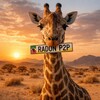 Логотип телеграм канала @radonp2p — Radon |MMA💸