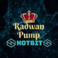 Logo saluran telegram radwanpumphotbit — Radwan Pump Hotbit