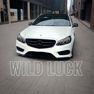 Telegram channel Wild Luck logo