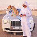 Logo of telegram channel raftaardubai002 — RAFTAAR_DUBAI™