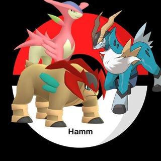 Logo des Telegrammkanals raidgruppehamm - Raid Gruppe Hamm