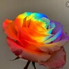 Logo of telegram channel raidow_li — Rainbow_life🌹