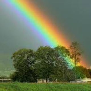 لوگوی کانال تلگرام rainbowcolor — رنگين كمان⚜️🌈