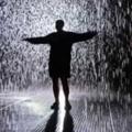 Logo saluran telegram rainmanscalls — Rain Man’s Calls