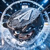 Логотип телеграм канала @raizpuck — ШАЙБА РАЙЗА