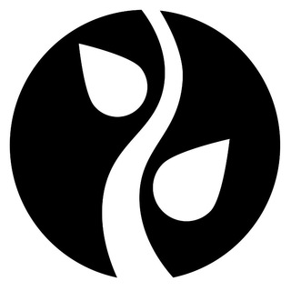 Логотип телеграм канала @rajdian — Rajdian — [ӕ]