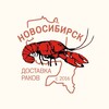 Логотип телеграм канала @raki_novosibirsk — Доставка раков Новосибирск
