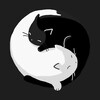 Логотип телеграм канала @rakitinstyle — О том и о сём