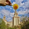 Логотип телеграм канала @ramenkimoscow — РАМЕНКИ канал
