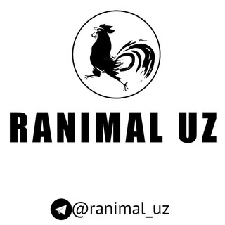Telegram kanalining logotibi ranimal_uz — RANIMAL UZ 🇺🇿
