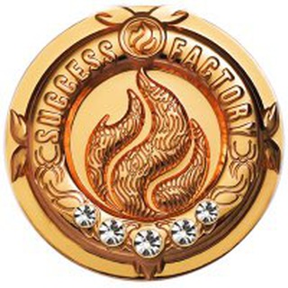 Логотип телеграм канала @ranksf — Как достичь квалификационного ранга в Success Factory