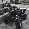 Логотип телеграм канала @raptornch — raptorNCH