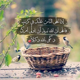 لوگوی کانال تلگرام rasoolalla — عليكم بالأثر