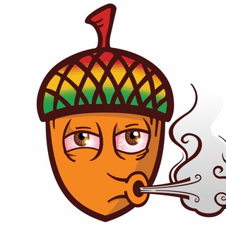 Логотип телеграм канала @rasta_jolud — Раста Желудь