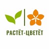 Telegram channel Растёт-Цветёт | Доставка цветов | Рязань | Тула logo