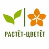 Логотип телеграм канала @rastcvet_baza — Цветочная база | Букеты | Доставка | Павловский посад
