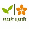 Логотип телеграм канала @rastcvet_kolomna — Растёт-Цветёт | Букеты | Доставка | Коломна