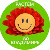 Логотип телеграм канала @rastem_33 — РАСТЁМ ВО ВЛАДИМИРЕ