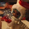 Логотип телеграм канала @rastishkamrm — логово рм
