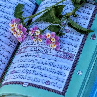 Telegram kanalining logotibi rasulullohummati001 — Ilm nuri☘️☘️☘️☘️