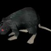 Logo of telegram channel ratgangsleng — Rat gang