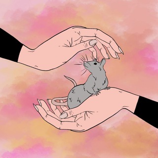 Логотип телеграм канала @rathelpline — Горячая линия "Крыса в беде"