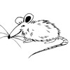 Логотип телеграм канала @ratttte — Ratte