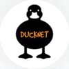 Логотип телеграм канала @rav_ducknet — 🦆 DuckNet — Интересные факты каждый день