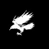 Logo of telegram channel ravencartel — Raven Cartel