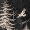 Логотип телеграм канала @ravens_tr — Raven's Tree