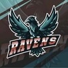 Логотип телеграм канала @ravensomsklax — Ravens lax🥍