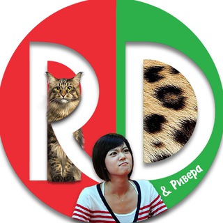 Логотип телеграм канала @ravinblog — Ravin/Drager & Ривера