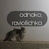 Логотип телеграм канала @raviollichka — odnako