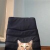Логотип телеграм канала @rawpapersbro — подкованы