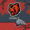 Логотип телеграм канала @rawtbr — RAWT|BR
