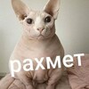 Логотип телеграм канала @raxmet_god — рахмет