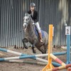 Логотип телеграм канала @ray_konnicov — •Мир Конников🐎•