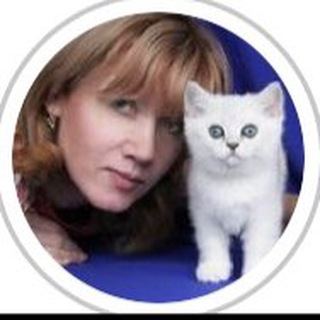 Логотип телеграм канала @raylis_katerin — Британские котята/ Raylis_Katerina