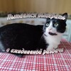 Логотип телеграм канала @razdachagd — ☃️ Пытаемся выиграть в ежедневной раздаче |GD| |CRK| ☃️