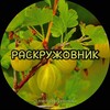 Логотип телеграм канала @razkryzovnik — РАСКРУЖОВНИК