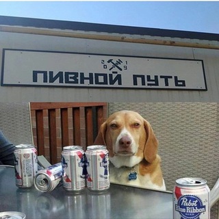 Логотип телеграм -каналу razrusheniemolod — Разрушение молодит