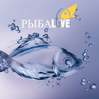 Логотип телеграм канала @rblbalove — Рыбалка | РыбаLove🐟