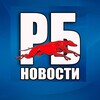 Логотип телеграм канала @rborzie — РУССКИЕ БОРЗЫЕ.