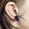 Логотип телеграм канала @rd_kl — 🕷🦻🏿RDKL🧬🦈