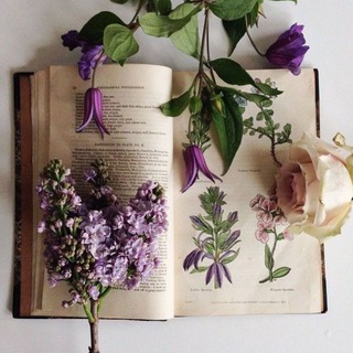Логотип телеграм канала @readandpirouette — Read & Pirouette