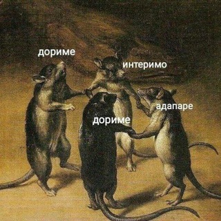 Логотип телеграм канала @readerneet — интровертикаль