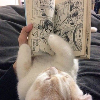 Telegram channel reading manga logo