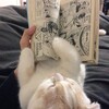 Logo of telegram channel reading_is_sexxxy — reading manga